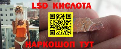 прущие грибы Краснознаменск