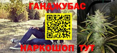прущие грибы Краснознаменск