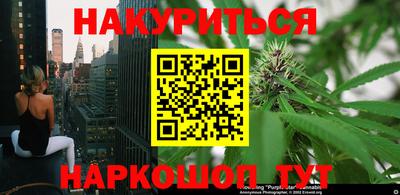прущие грибы Краснознаменск