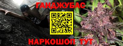 прущие грибы Краснознаменск