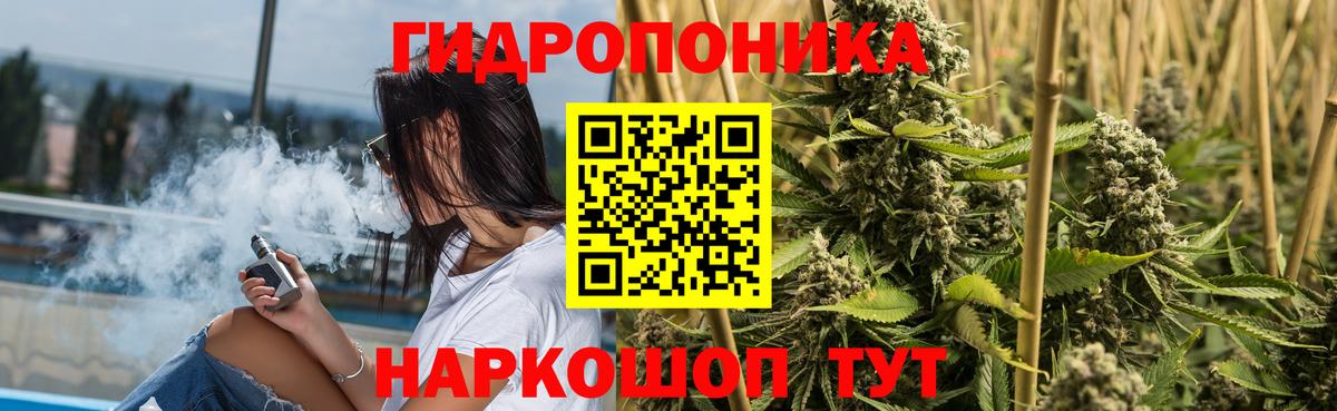 Канабис Amnesia Горячий Ключ